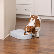 Load image into Gallery viewer, Eatwell™ 5 Meal Pet Feeder
