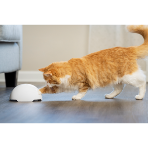 FroliCat® Fox Den Toy Automatic Cat Teaser