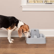 Load image into Gallery viewer, Drinkwell® 7.5 Litre Pet Fountain
