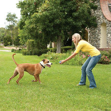 Load image into Gallery viewer, Stay+Play Wireless Fence™ Add-A-Dog® Extra Receiver Collar
