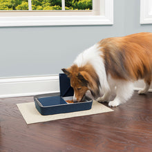 Load image into Gallery viewer, Digital Two Meal Pet Feeder
