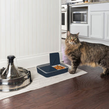 Load image into Gallery viewer, Digital Two Meal Pet Feeder
